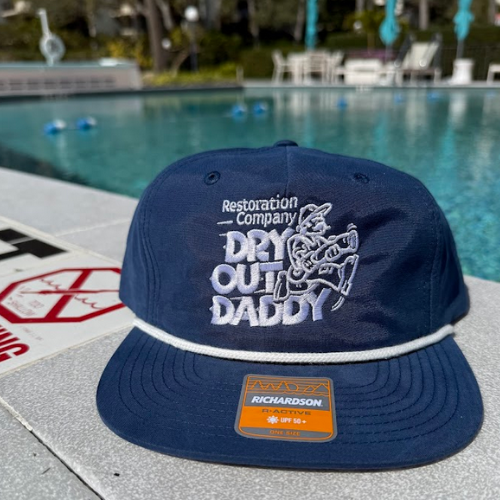 About mold removal services Tampa