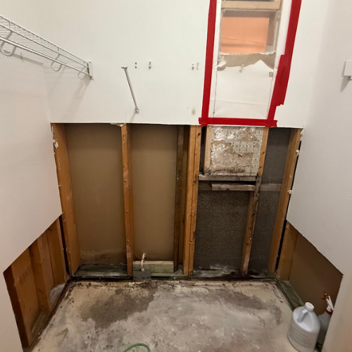 Gallery image 8 — mold removal services Tampa