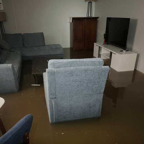 Gallery image 7 — mold removal services Tampa