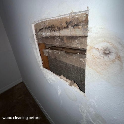 Gallery image 8 — trusted mold removal experts in Tampa
