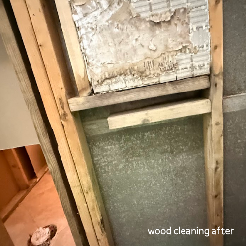 Gallery image 5 — trusted mold removal experts in Tampa