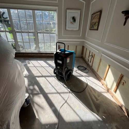 Gallery image 10 — trusted mold removal experts in Tampa