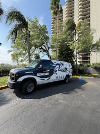 About trusted mold removal experts in Tampa