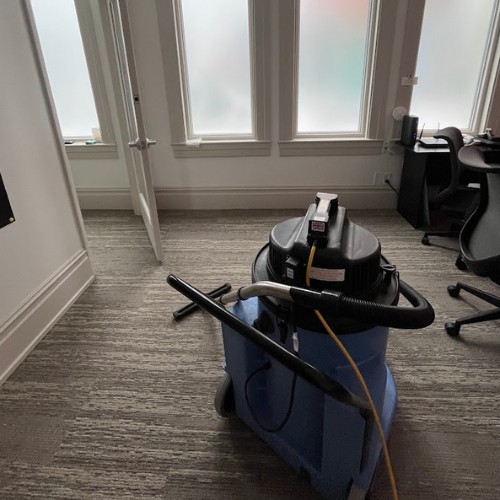 mold removal services Tampa