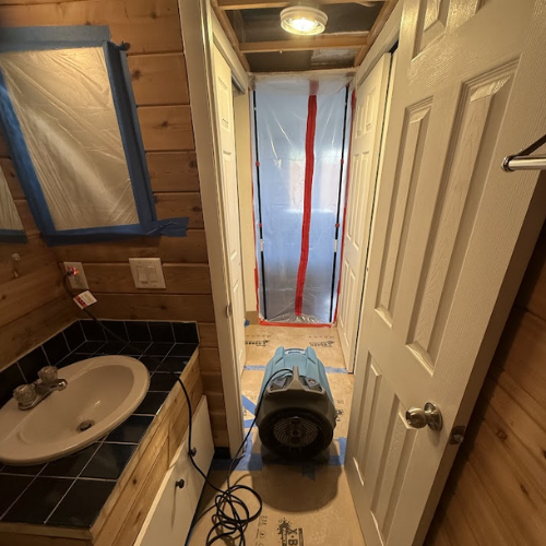 Gallery image 6 — trusted mold removal experts in Tampa