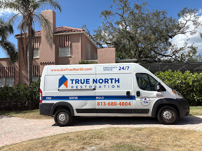 Gallery image 3 — mold remediation Hillsborough County