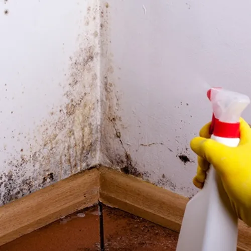 Gallery image 6 — water extraction and drying Tampa