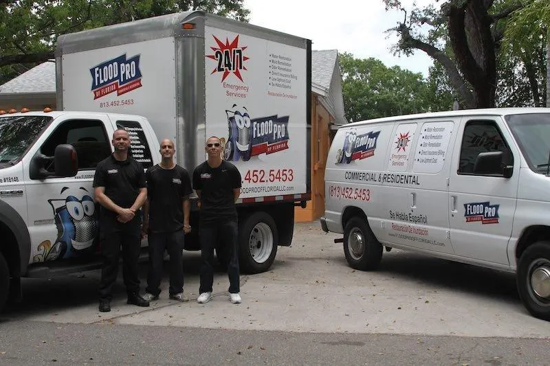 water extraction and drying Tampa