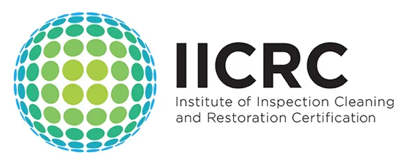 Gallery image 7 — water extraction and drying Tampa