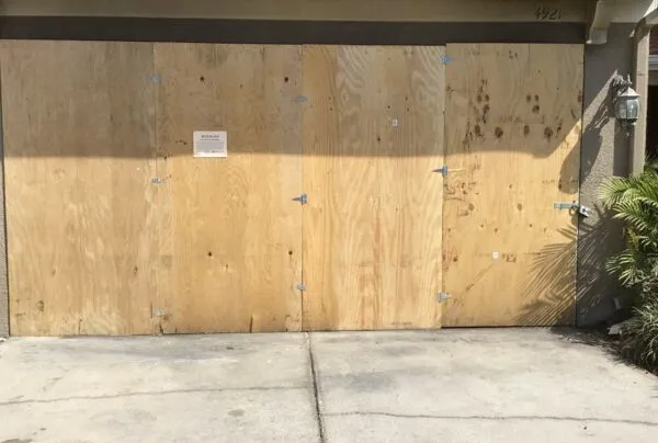 Gallery image 1 — commercial mold removal in Brandon