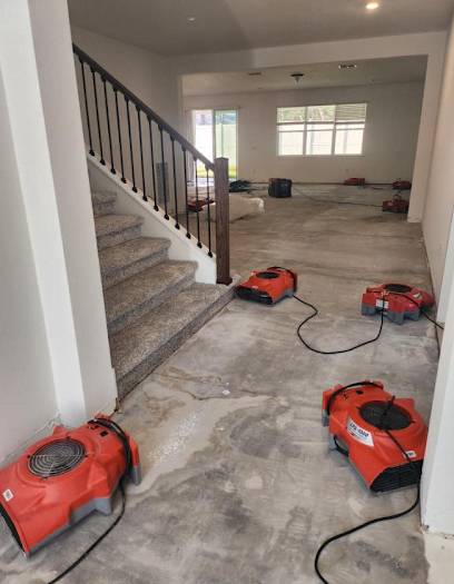 About commercial mold removal in Brandon