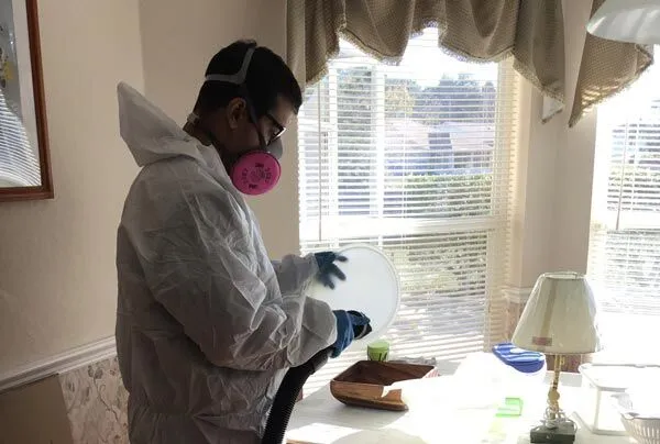 Gallery image 10 — commercial mold removal in Brandon