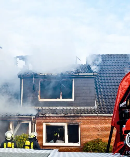 Gallery image 12 — commercial mold removal in Brandon