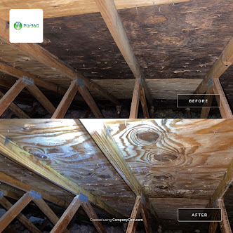 About mold testing Tampa