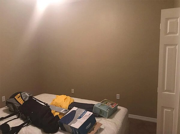 Gallery image 7 — mold testing Tampa