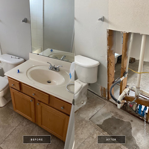 Gallery image 6 — mold testing Tampa