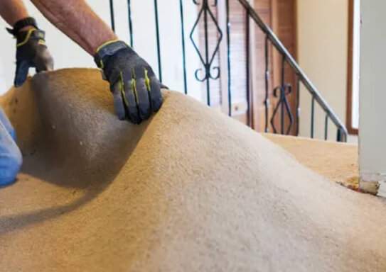 Gallery image 4 — mold testing Tampa