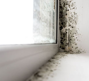 Gallery image 2 — post remediation testing Hillsborough County