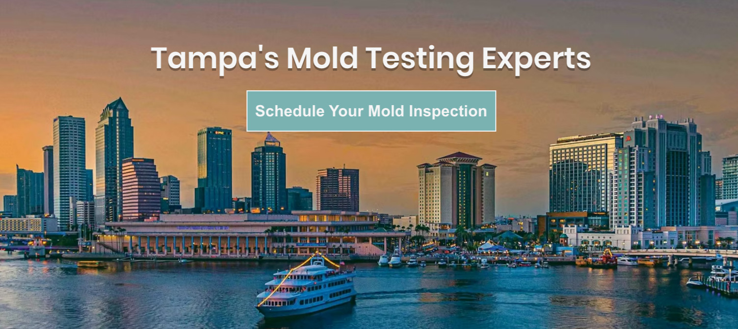 post remediation testing Hillsborough County