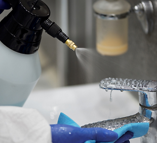 Gallery image 5 — post remediation testing Hillsborough County