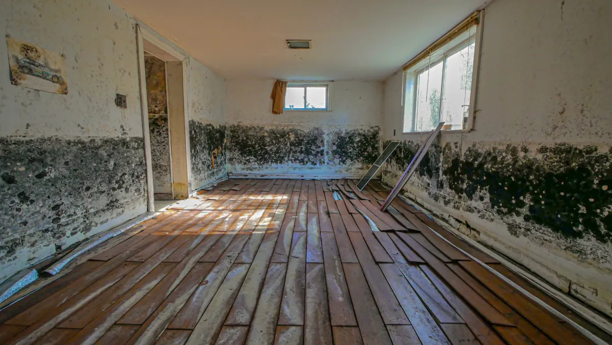 Gallery image 4 — best fire and smoke damage restoration Tampa Bay