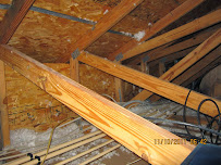 Gallery image 3 — mold sensitive client testing Tampa Bay