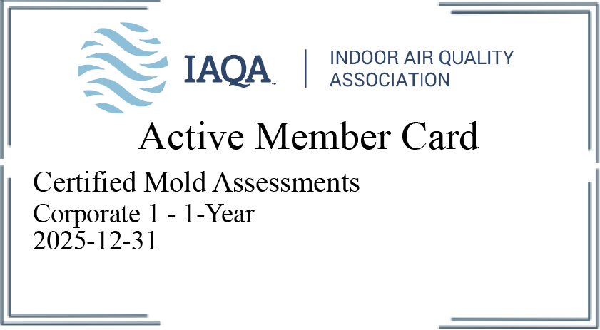 mold inspection near me