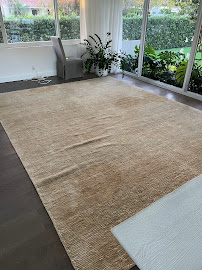 About green cleaning for sofas Miami