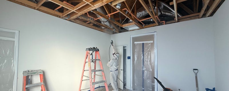 commercial asbestos abatement Nevada