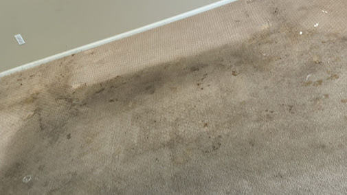 Gallery image 4 — I.B.S Carpet Care
