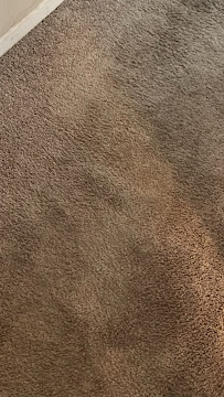 About I.B.S Carpet Care