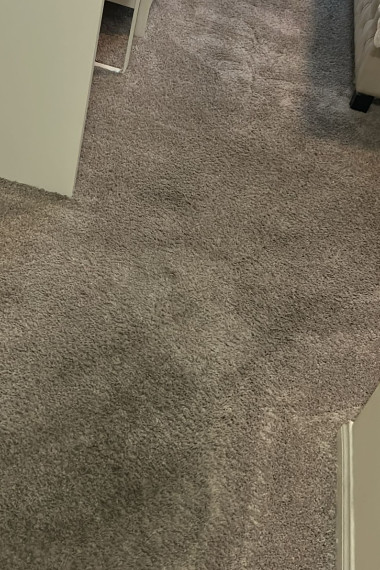 Gallery image 2 — I.B.S Carpet Care