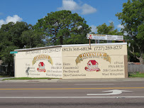 Gallery image 9 — roof inspection Brandon