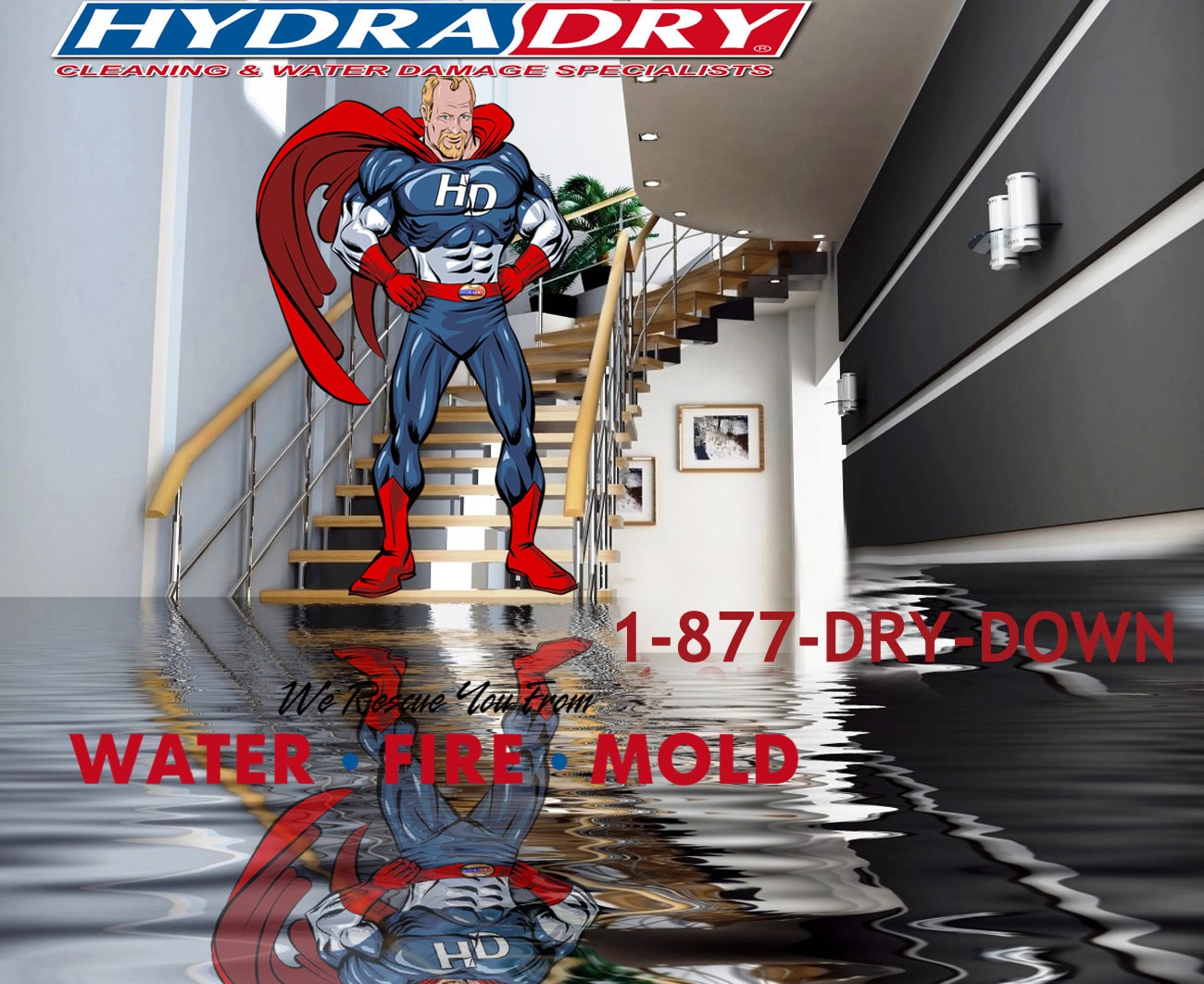 emergency mold removal Tampa