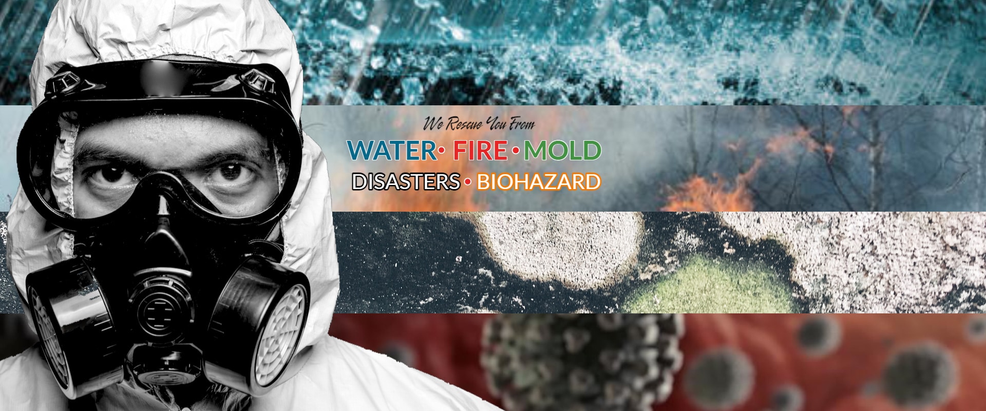 Gallery image 6 — emergency mold removal Tampa