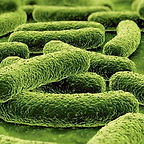 Gallery image 6 — hurricane damage repair near me