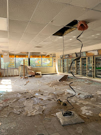 About same day mold analysis Tampa