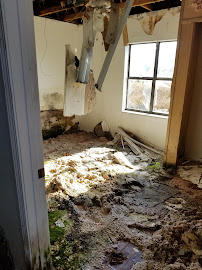 Gallery image 4 — same day mold analysis Tampa