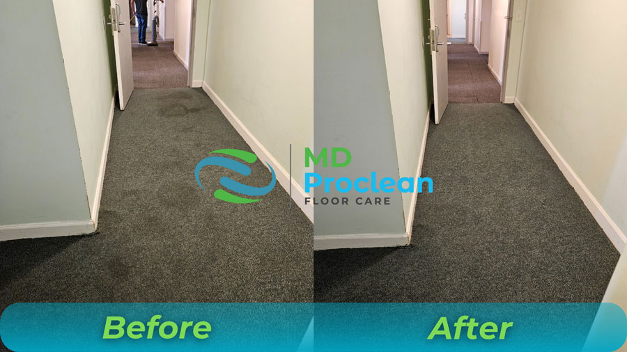 Gallery image 5 — upholstery cleaning Miami