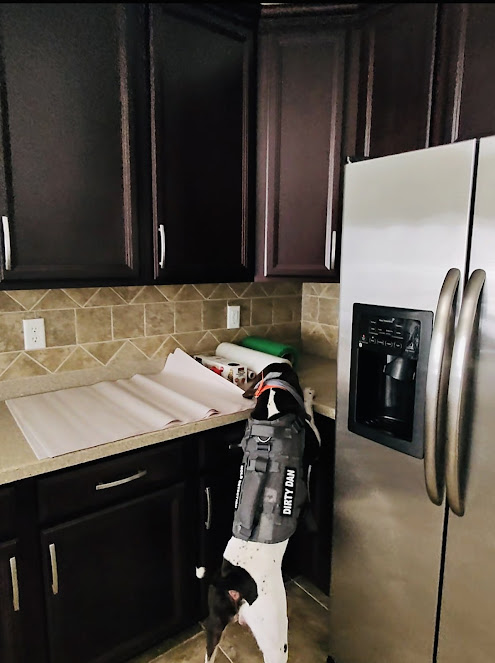 Gallery image 2 — emergency fire and smoke cleanup