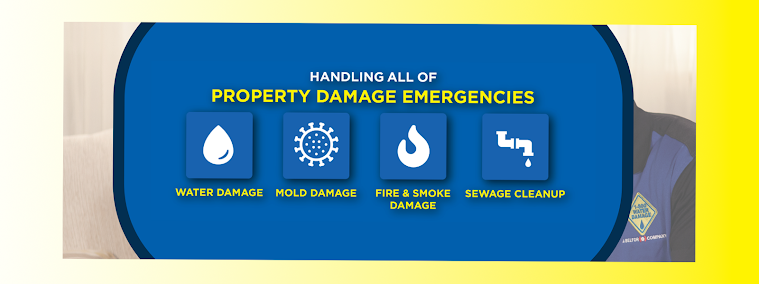 licensed mold inspector SoHo