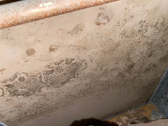 indoor air quality testing for mold spores