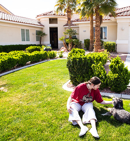 Gallery image 3 — las vegas valley pest control