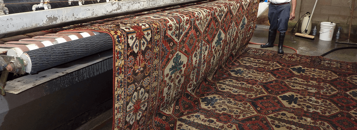 Gallery image 1 — carpet cleaning fort lauderdale