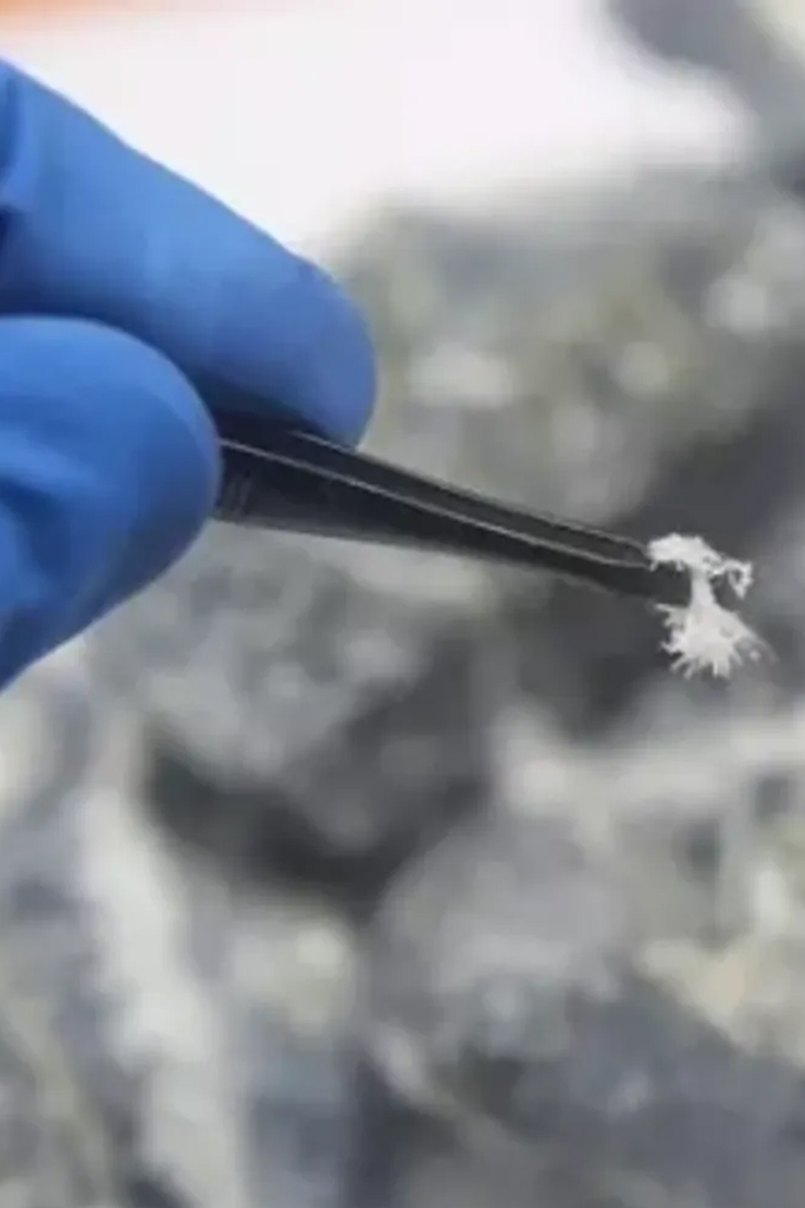 Gallery image 5 — industrial hygiene testing Tampa