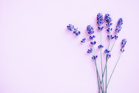 Gallery image 2 — apartment cleaning Help Maid Cleaning Services