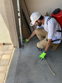 About same day pest control Las Vegas