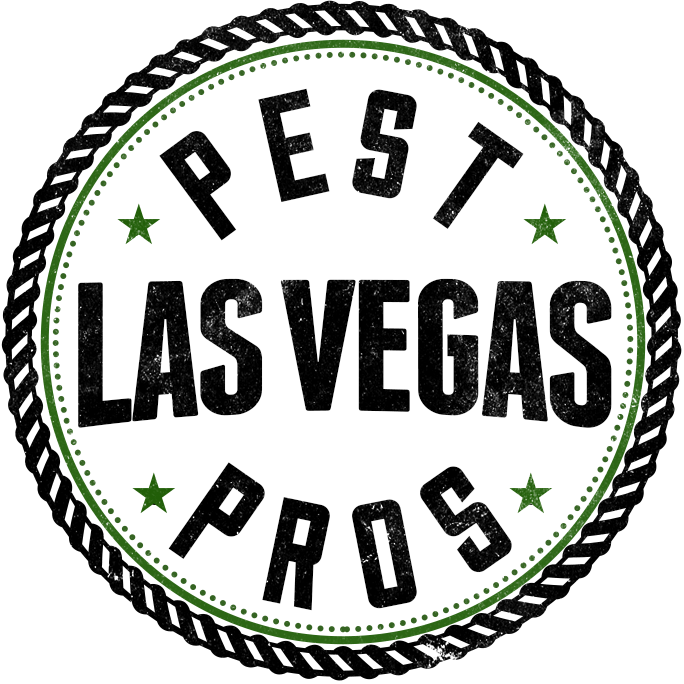 Gallery image 4 — same day pest control Las Vegas