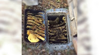 Gallery image 6 — same day pest control Las Vegas