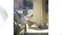 Gallery image 8 — same day pest control Las Vegas